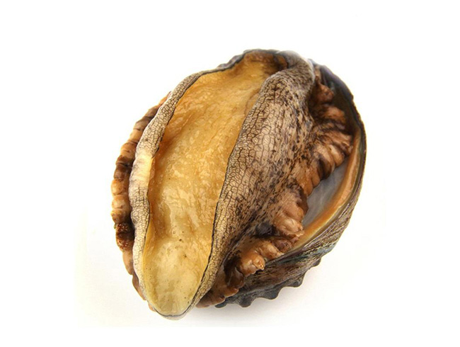 鮑魚(yú)仔肉